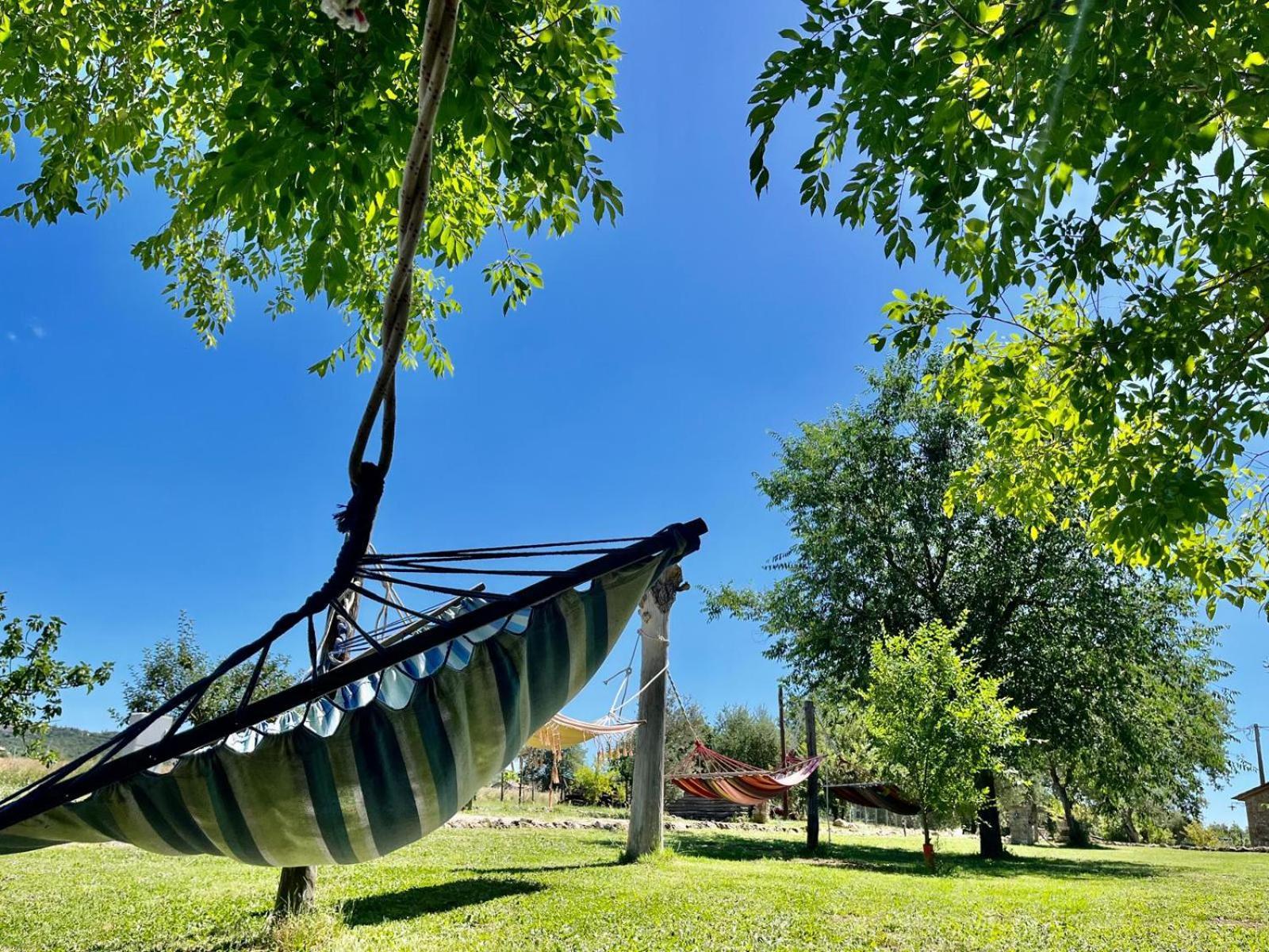 Agriturismo Podere Dell' Olmo Amelia Eksteriør billede