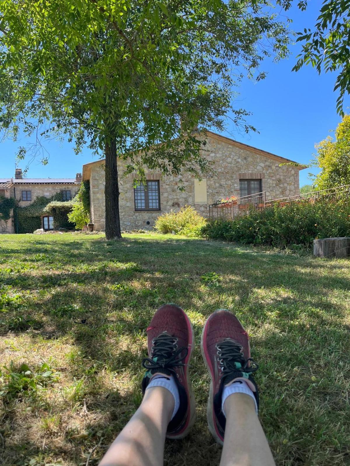 Agriturismo Podere Dell' Olmo Amelia Eksteriør billede