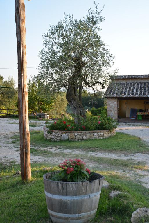 Agriturismo Podere Dell' Olmo Amelia Eksteriør billede