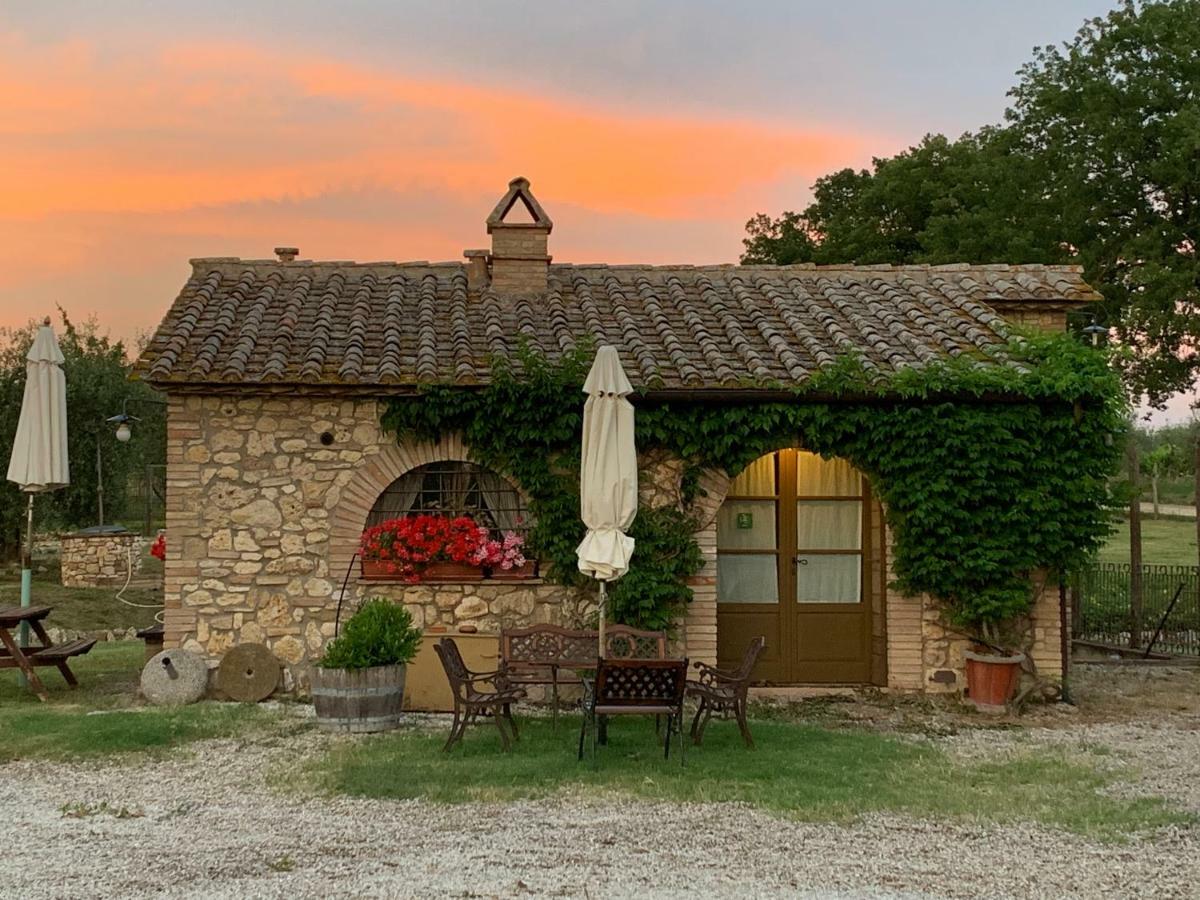 Agriturismo Podere Dell' Olmo Amelia Eksteriør billede