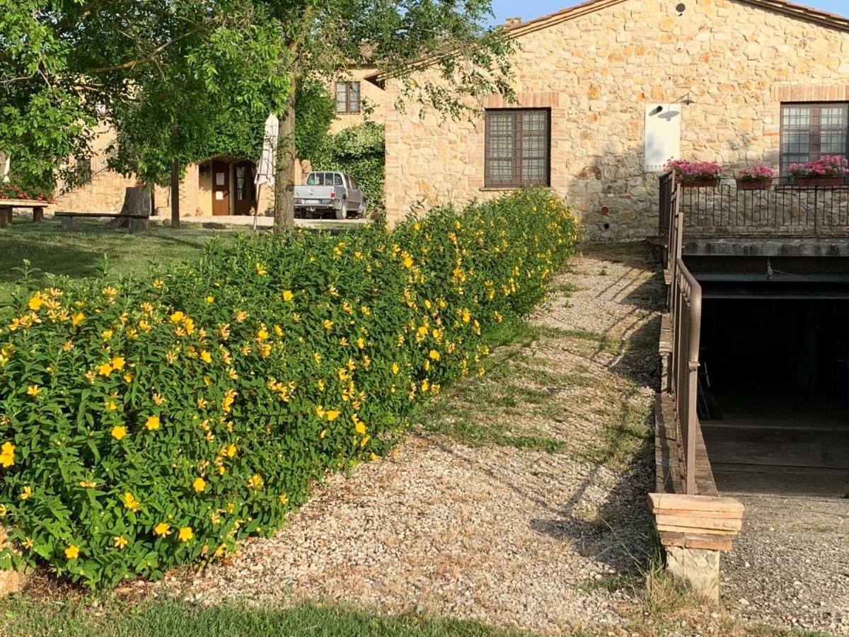 Agriturismo Podere Dell' Olmo Amelia Eksteriør billede