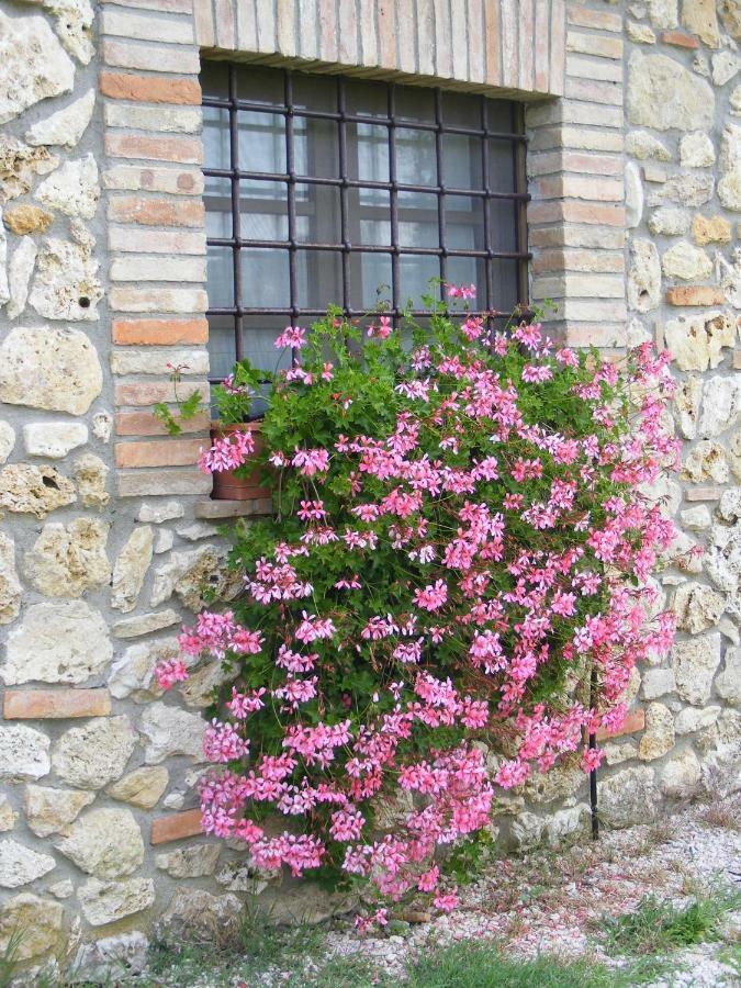 Agriturismo Podere Dell' Olmo Amelia Eksteriør billede