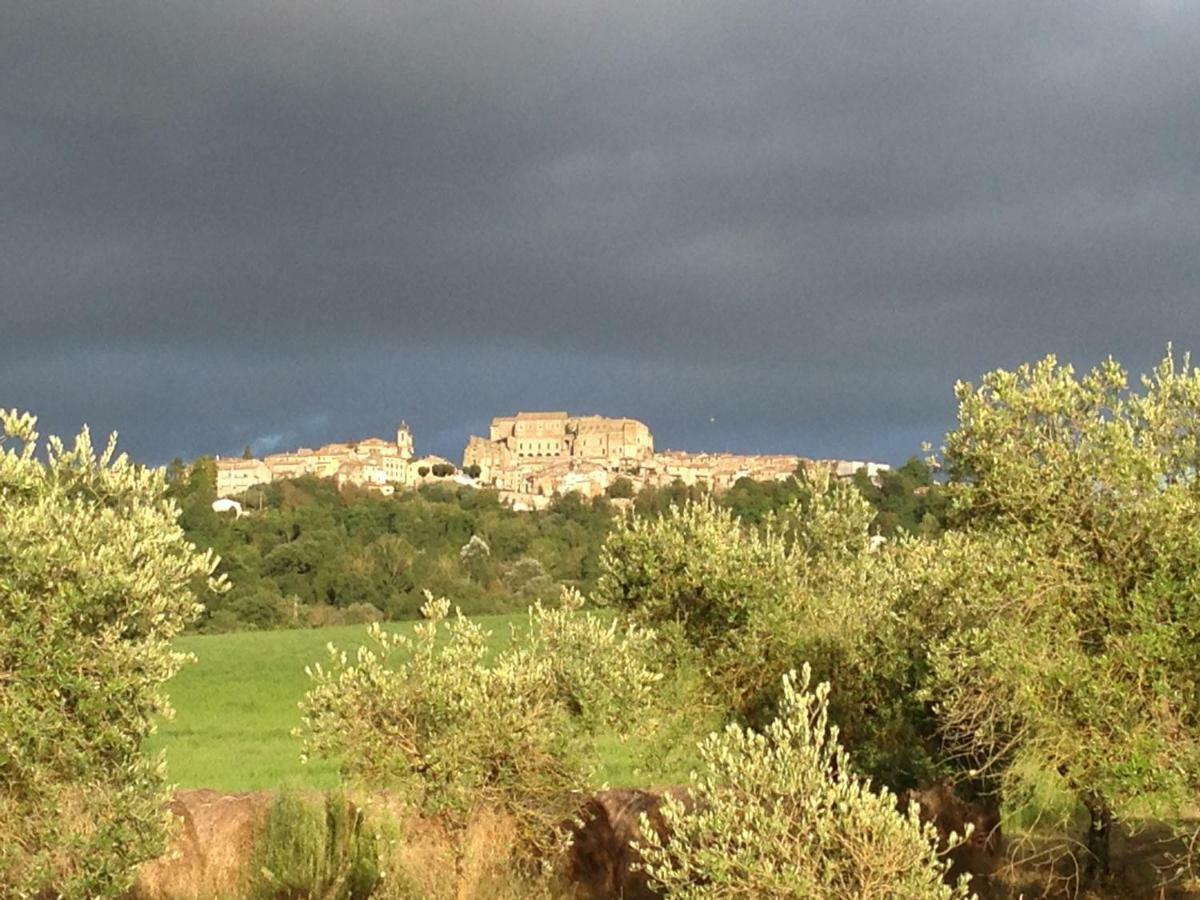 Agriturismo Podere Dell' Olmo Amelia Eksteriør billede